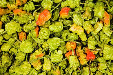 真正的“老头环”《戒指里的老爷爷》Steam新品节试玩开启