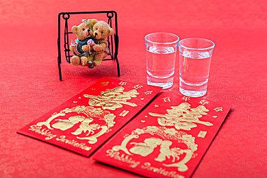 2D类银河恶魔城新作《Vernal Edge》今日发售